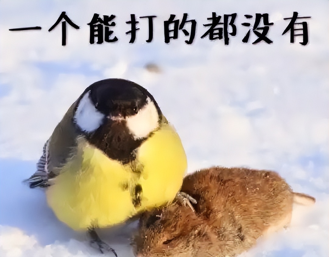 天龙圣衣圣剑玩家_天龙私服_热血传奇火舞者