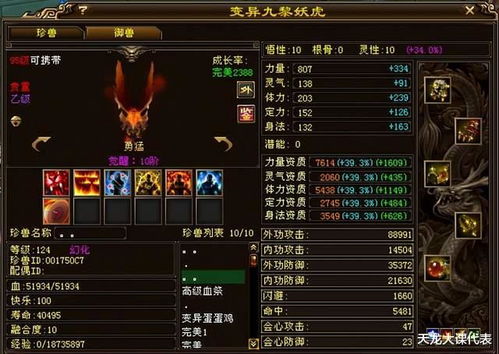 至尊天龙网络短剧免费观看指南