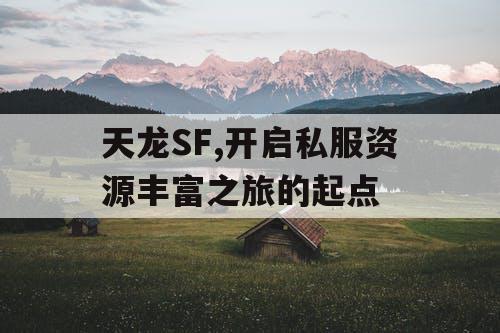 天龙SF,开启私服资源丰富之旅的起点