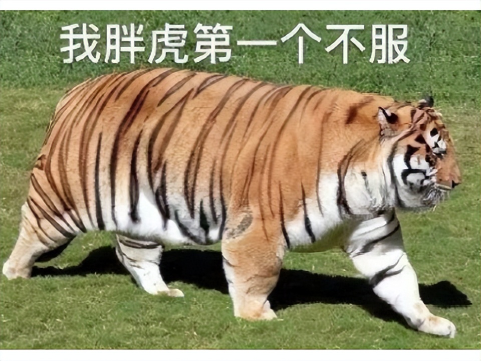 天龙八部游戏__ 天龙八部霸刀传奇 
